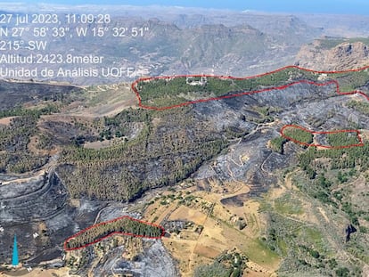 Imagen aérea de la zona afectada por el incendio de Tejeda en Gran Canaria. Dentro de las líneas rojas, pinares tratados de forma previa con quemas prescritas.