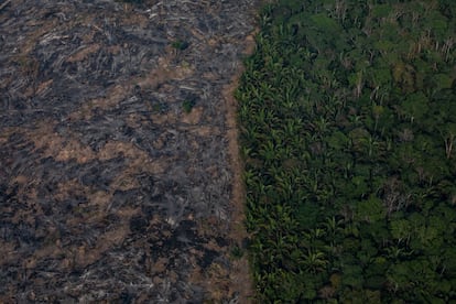 La imagen aérea muestra una sección de la selva amazónica que ha sido diezmada por incendios forestales en la región de Candeias do Jamari, cerca de Porto Velho (Brasil). Según INPE, el Instituto Nacional de Investigación Espacial de Brasil, la cantidad de incendios detectados por satélite en la región amazónica este mes es la más alta desde 2010.