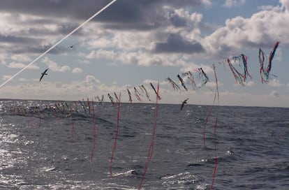 Un cable espantapájaros colocado en un buque pesquero de Uruguay.