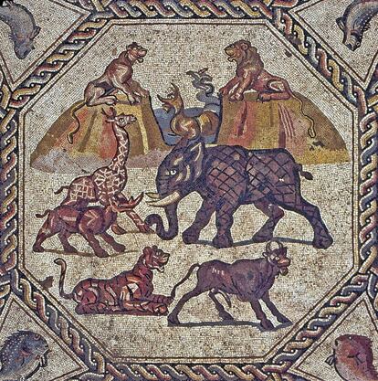 Detalle de los motivos centrales del mosaico romano hallado en Lod.