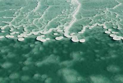 Las formaciones de sal forman una suerte de costra que flota sobre el agua.