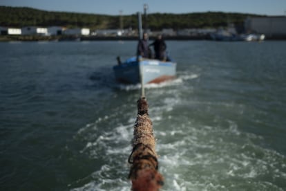 Uno de los pequeños barcos remolcados hacia la almadraba de Zahara de los Atunes.