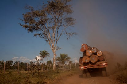 Deforestación del Amazonas en Bolivia