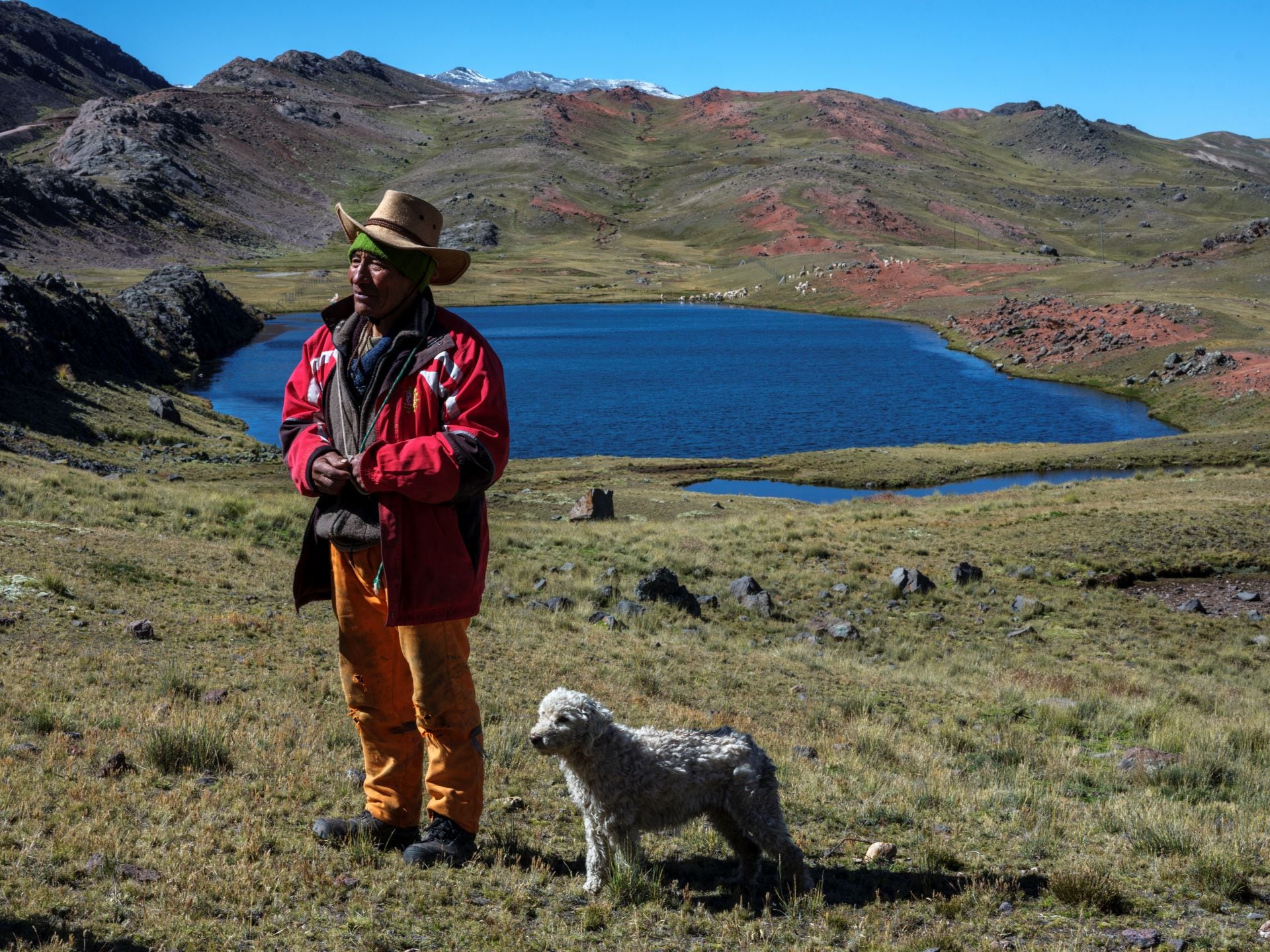 Guzmán Llamoca, comunero de Salcca.
