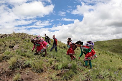 Soledad Secca, una indígena quechua mejor conocida como "Solischa" camina junto a campesinos de Cusco, Perú. 