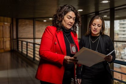 La Subprefecta Elena Hidalgo y Vania Saavedra, psicóloga del Instituto de Criminología, el 14 de julio de 2025. 