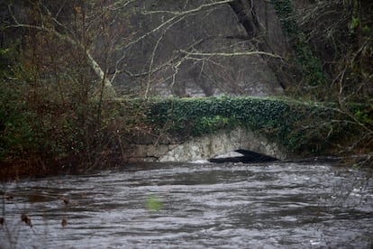 El río Lérez a su paso por Ponte Bora, a 16 de enero de 2023, en Pontevedra, donde el cauce supera los umbrales establecidos. 