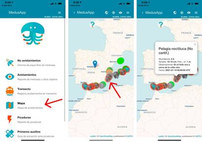 MedusAp te indica las playas que han sufrido avistamientos.
