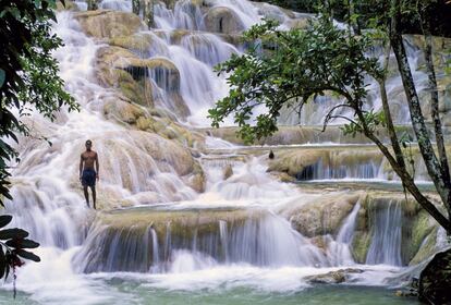 Las cascadas de Dunn's River se pueden remontar a pie desde la playa de Ocho Ríos, al norte de Jamaica. En estas mismas cascadas enfriaban su ardor -con el 'Run for the shelter of your love', de Jimmy Cliff, como música de fondo- el barman malabarista Brian Flanagan (Tom Cruise) y la pintora Jordan Mooney (Elisabeth Shue) en una secuencia de 'Cocktail', de Roger Donaldson. El filme resultó ganador de los Razzie Awards (los anti Oscar) de 1988 a la peor película del año, en la misma edición en que Tom Cruise quedaba nominado (al final ganó Stallone, con su tercer Rambo) como peor actor principal.