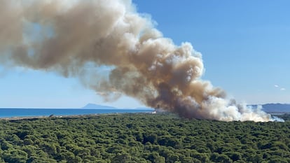 Una imagen del incendio El Saler compartida en la cuenta de X de la AA VV Dehesa El Saler.