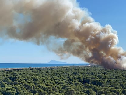 Una imagen del incendio El Saler compartida en la cuenta de X de la AA VV Dehesa El Saler.