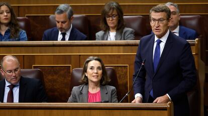 El presidente del PP, Alberto Núñez Feijóo, interviene durante la sesión de control al Gobierno celebrada este miércoles en el Congreso.