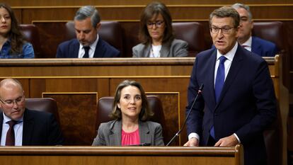 El presidente del PP, Alberto Núñez Feijóo, interviene durante la sesión de control al Gobierno celebrada este miércoles en el Congreso.