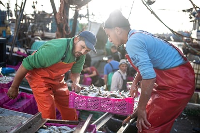 Pescadores transportan sus capturas tras atracar en el puerto principal de la ciudad de Dajla, en el Sáhara Occidental, en diciembre de 2020.