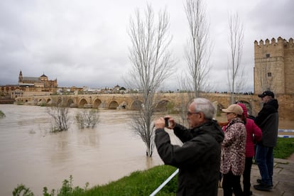 El río Guadalquivir a su paso por Córdoba, este martes.