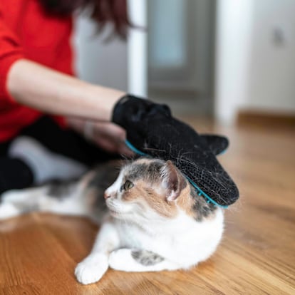 Esta clase de guantes también pueden ayudar a promover la circulación sanguínea en el animal.