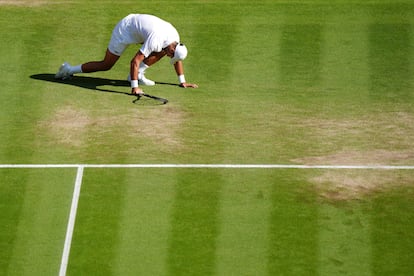 Sinner Djokovic Wimbledon