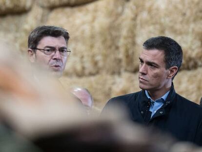 El secretario general del PSOE, Pedro S&aacute;nchez.
 