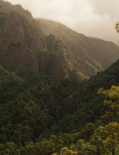 La Cumbrecita, en el parque nacional de la Caldera de Taburiente. 