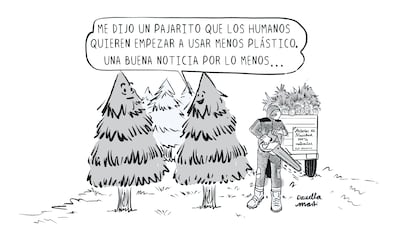 Viñeta Daniella Martí