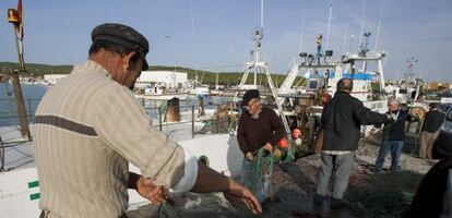 Trabajadores preparan los aparejos de las embarcaciones en el puerto de Barbate, el pasado octubre.