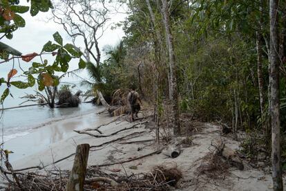 Marcos Sánchez, guía del parque nacional de Cahuita, transita un sendero por el que hace unos años se podía pasar sin problemas y que ahora el mar se ha comido.