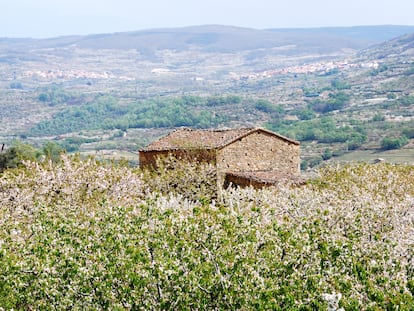 El Torno, en Extremadura.