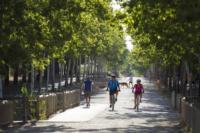 Dos ciclistas circulan por el parque de Polvoranca.