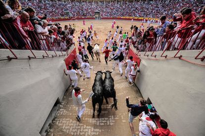 Los toros cruzan el callejón de la plaza de toros de Pamplona, un tramo peligroso por la estrechez de sus paredes.
