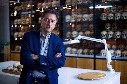 Bernardo Perea, actual director del museo Reverte Coma.