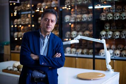 Bernardo Perea, actual director del museo Reverte Coma.