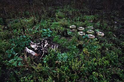 El Ejército ruso dejó los campos de esta granja de Shestakove (región de Járkov) sembrados de minas antitanque que ya han causado la muerte a algún animal (como el de la foto)