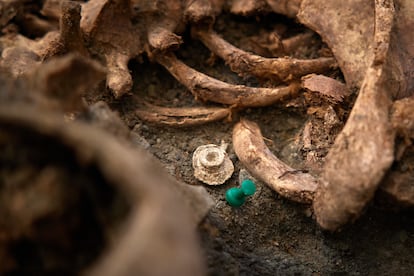 Detalle de los restos de un proyectil junto a uno de los diez cuerpos encontrados maniatados en la fosa CE017 del Barranco de Viznar, Granada.