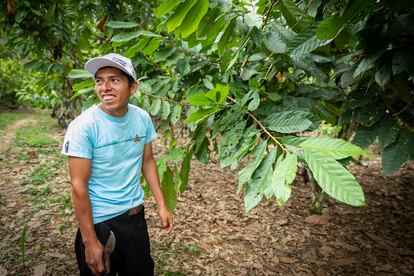 Moisés Quispe (32 años) es uno de los beneficiarios de la comunidad Bolívar. Vive solo y se dedica al cultivo de cacao, que abunda en la zona. Mientras muestra su cultivo de cacao, comenta cómo el compost le proporciona material orgánico de calidad para sembrar.