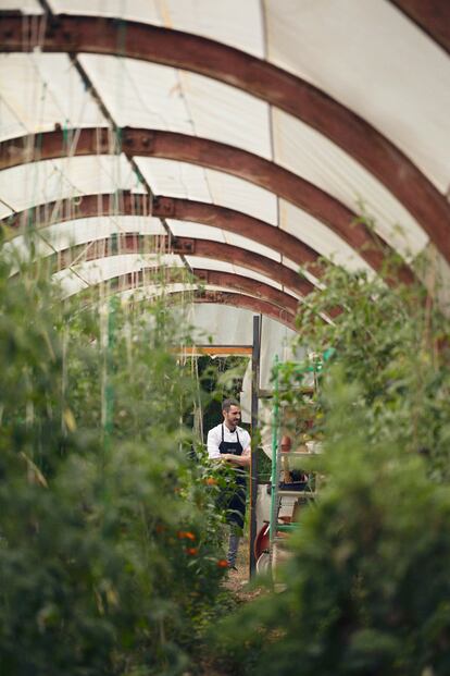 Xune Andrade, cocinero del restaurante Monte, en San Feliz (Asturias) visita el invernadero de La Huerta del Vago, un proyecto de permacultura impulsado por un joven madrileño.