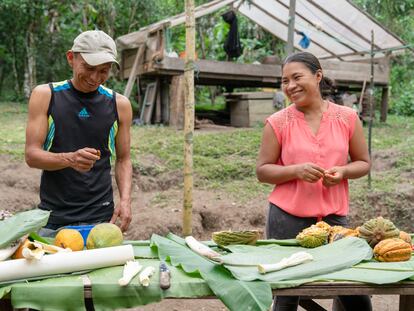 Dos campesinos extraen semillas de macambo, en Ecuador.