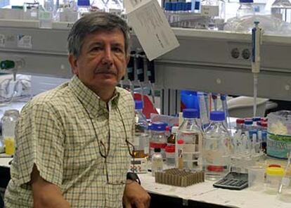 José María Delgado, en su laboratorio de la Universidad Pablo de Olavide.