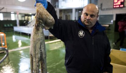 Lonja de Bueu donde se descarga y subasta el pulpo de la R&iacute;a de Pontevedra.