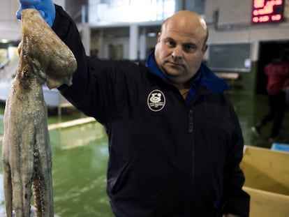 Lonja de Bueu donde se descarga y subasta el pulpo de la R&iacute;a de Pontevedra.