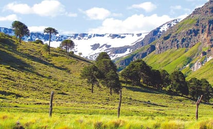 Territorio de la tribu Pehuenche en los Andes chilenos.