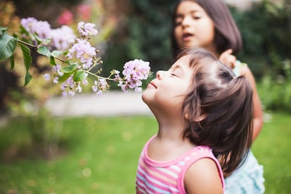 La hipersensibilidad permite a los niños altamente sensibles disfrutar de la belleza, la bondad o la naturaleza.