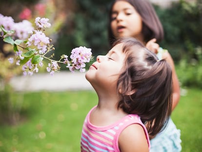 La hipersensibilidad permite a los niños altamente sensibles disfrutar de la belleza, la bondad o la naturaleza.