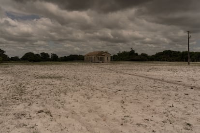 Los conocidos como ‘Pueblos de la Arena’, que durante 150 años habitaron la Restinga, un ecosistema costero de características arenosas y salinas en la costa este de Brasil, tienen una agricultura arraigada en conocimientos ancestrales con técnicas agrícolas adaptadas a suelos arenosos. Es una forma de vida que está amenazada por la expansión del puerto de Açu, el mayor complejo portuario e industrial privado de Latinoamérica, que se encuentra al norte de Río de Janeiro, en la localidad de São João da Barra. En la fotografía, tomada en diciembre de 2024, una casa en el Distrito V de Água Preta, en São João da Barra.
