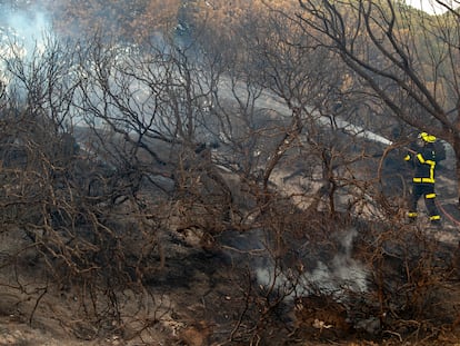 Un bombero trabaja en las labores de extinción del incendio del Paraje Natural de Las Canteras en Puerto Real (Cádiz).