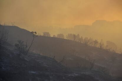 Vista geral da montanha depois do incêndio em Los Angeles. As autoridades da Califórnia decidiram evitar as tragédias de 2018 e 2017 por todos os meios, mesmo que isso signifique alterar seriamente as vidas de centenas de milhares de pessoas e causar uma sensação de caos sem precedentes.