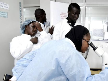 Varios científicos trabajan investigando el coronavirus en el Instituto Pasteur en Dakar.