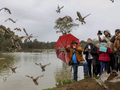 Un grupo de visitantes, en uno de los humedales del entorno de Do&ntilde;ana.