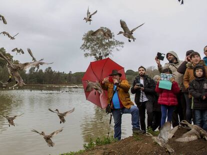 Un grupo de visitantes, en uno de los humedales del entorno de Doñana.