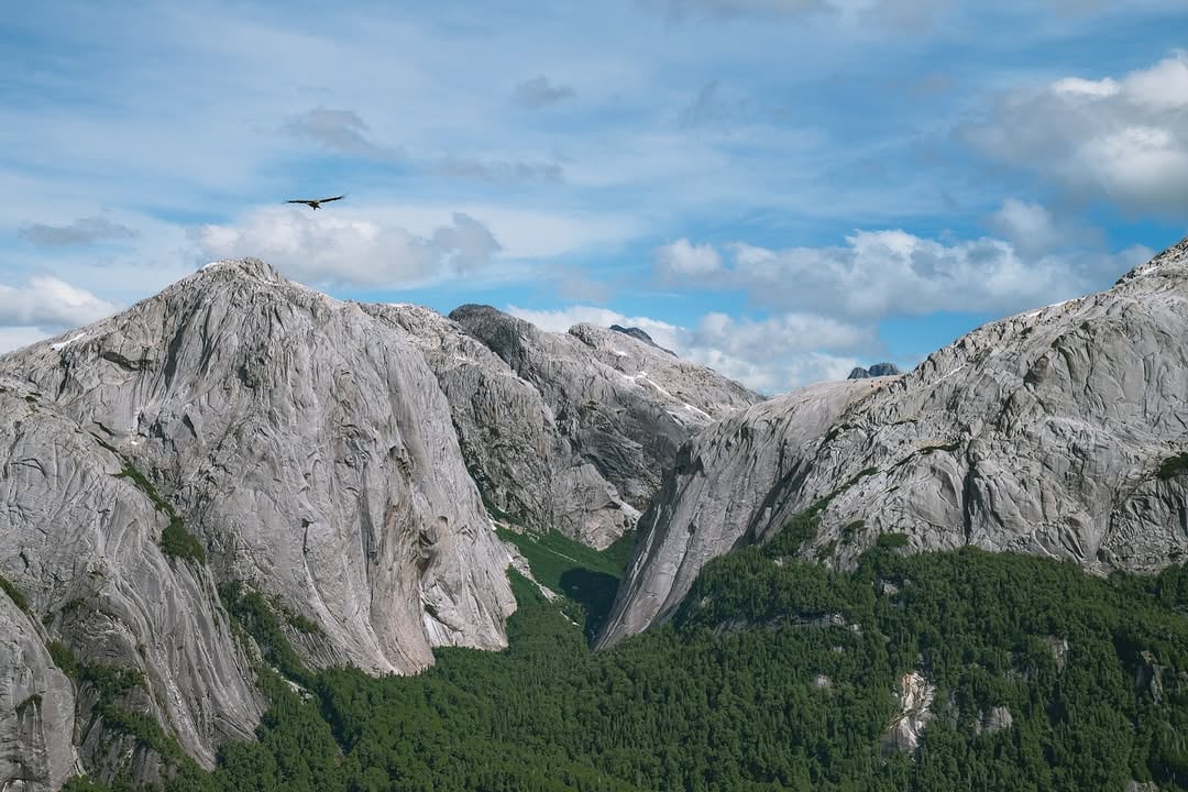 Puchegüín, un ejemplo histórico de colaboración para proteger la naturaleza