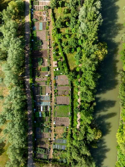 Huertas de ocio en el parque de Aranzadi, en Pamplona.